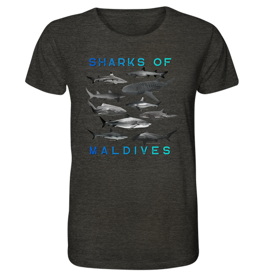 Salty Life "Sharks of Maldives" - Organic Shirt (meliert)